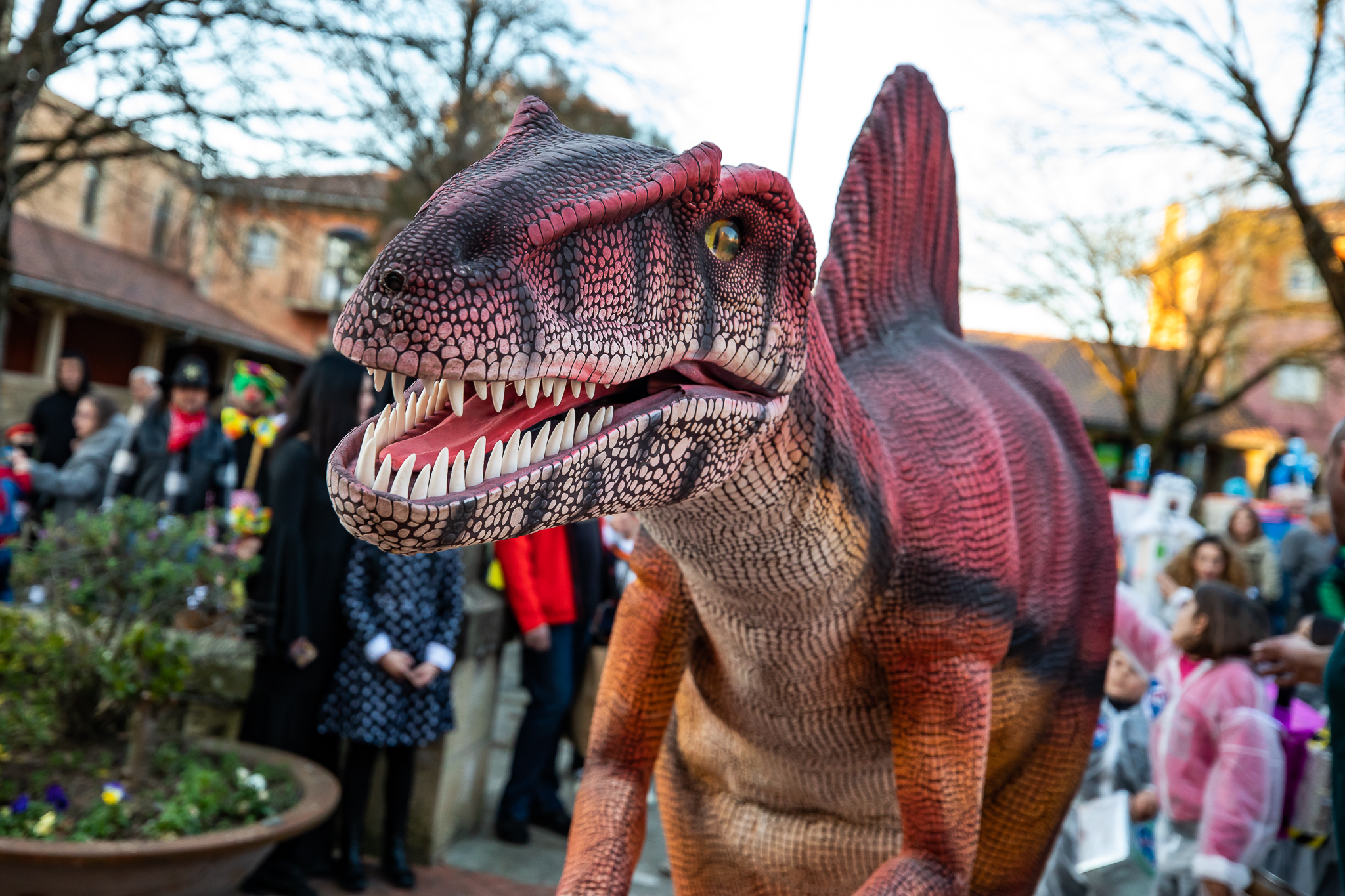 DiverJurassic-Diverparke4